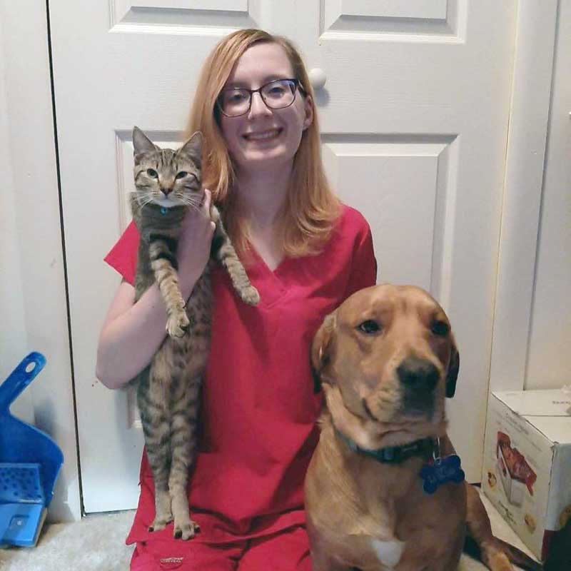 Veterinary Jobs in Evansville